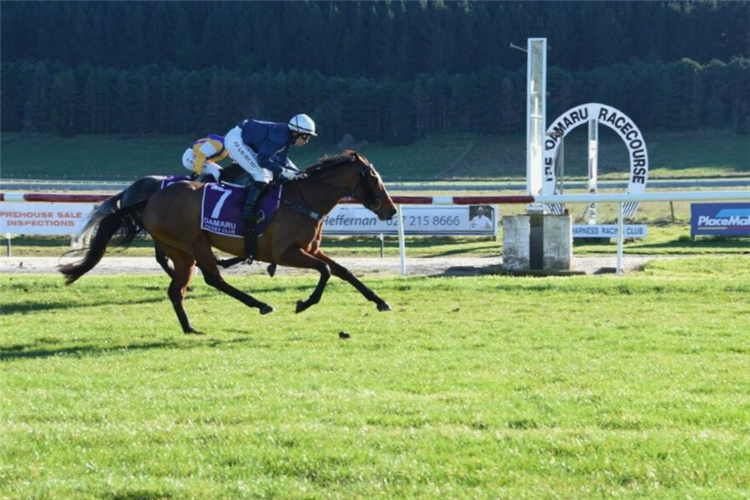 THE ENTERTAINER winning the DONNA WILSON