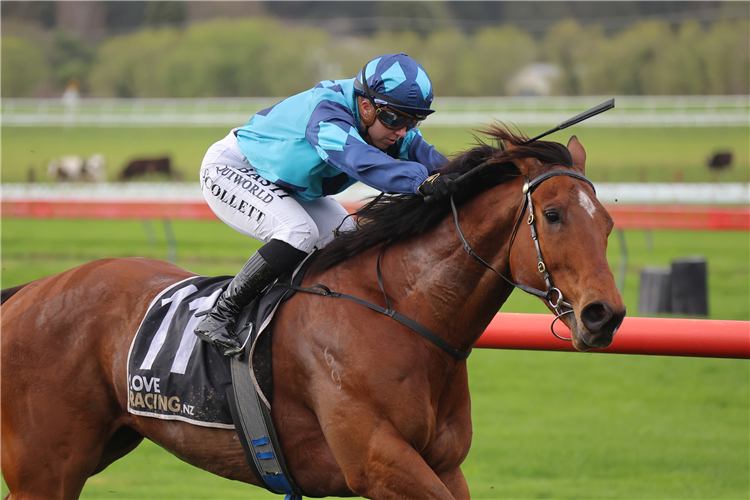 THE SCUNNER winning the CAVALLO FARMS & CHRIS RUTTEN BLOODSTOCK HANDICAP