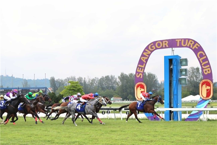 THE STAR winning the Jul 06 2025 Selangor MeetingGoing