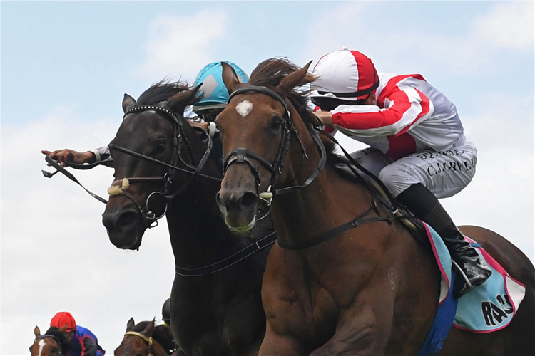 THORAX (inside) winning the JR & N BERKETT