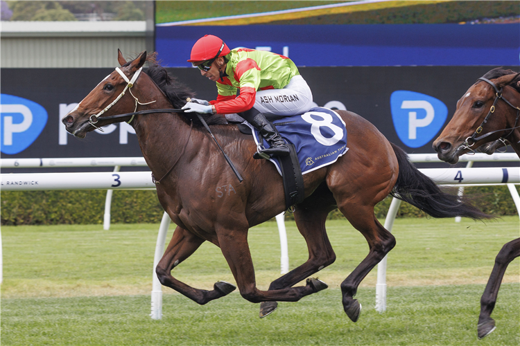 THRILL HUNTER winning the GOW-GATES KIRKHAM PLATE