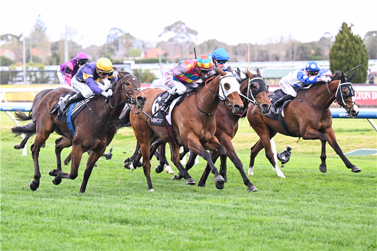 TIGER SHARK (#6, multi colour cap) winning the Barastoc Handicap at Caulfield in Australia.