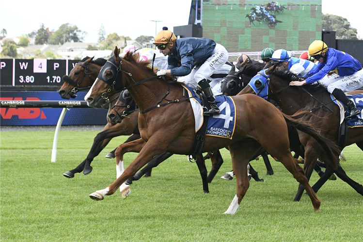 TISSE winning the BARFOOT & THOMPSON