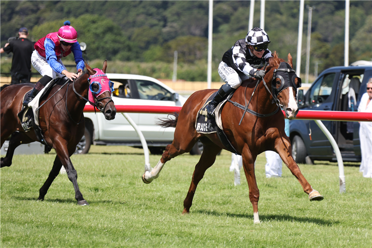 TISSE winning the BILL TITO BOOK REPAIR SPECIALIST