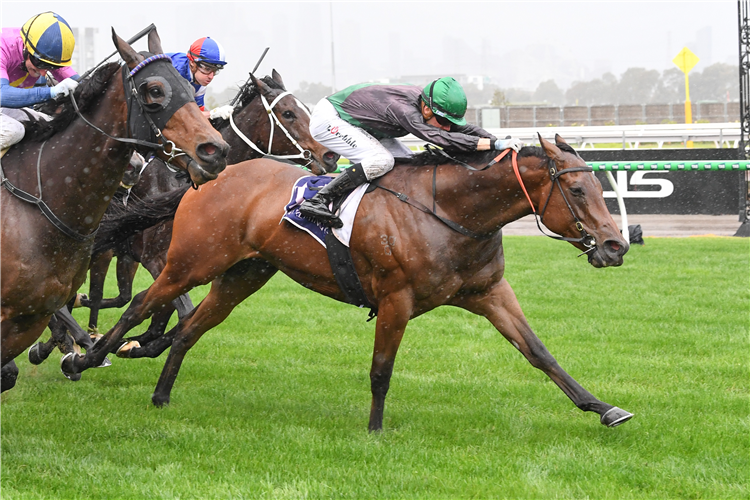 TITLE FIGHTER winning the Hilton Nicholas Straight Six at Flemington in Australia.