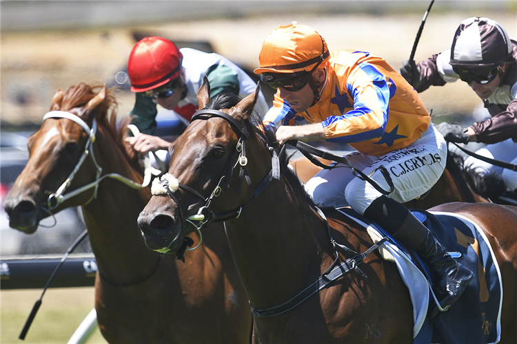 TO BRAVERY BORN winning the TRACKSIDE.CO.NZ