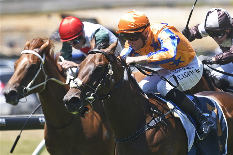 TO BRAVERY BORN winning the TRACKSIDE.CO.NZ