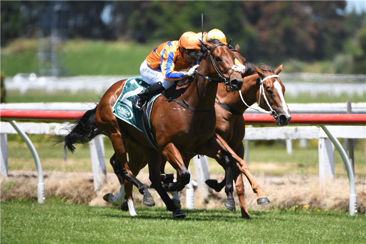 TO BRAVERY BORN winning the WENTWOOD GRANGE 3YO