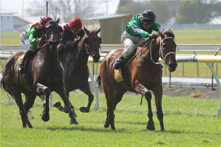 TOBIAS winning the KIWI BUTCHER