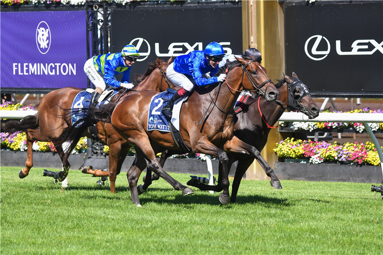 TOM KITTEN winning the All-Star Mile at Flemington in Australia.