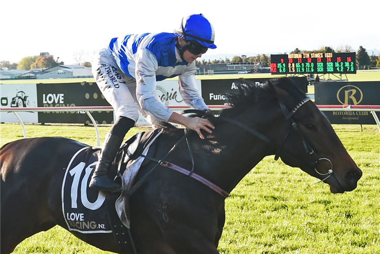 TOMODACHI winning the ROTORUA ITM STAKES