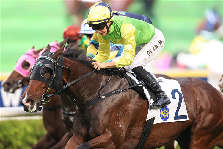 TOMODACHI KOKOROE winning the SHING MUN HANDICAP