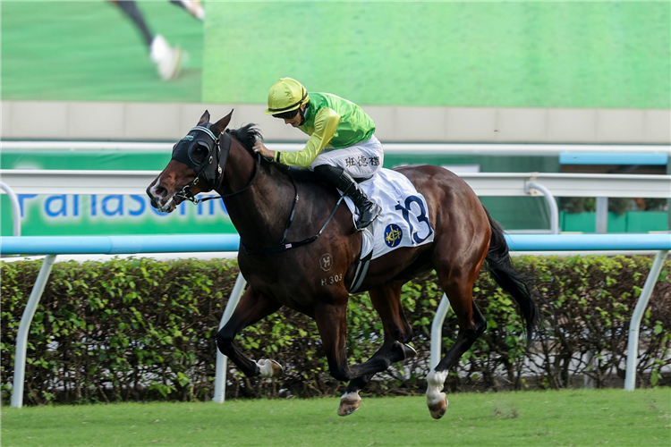 TOMODACHI KOKOROE winning the THE PREMIER BOWL (HANDICAP)
