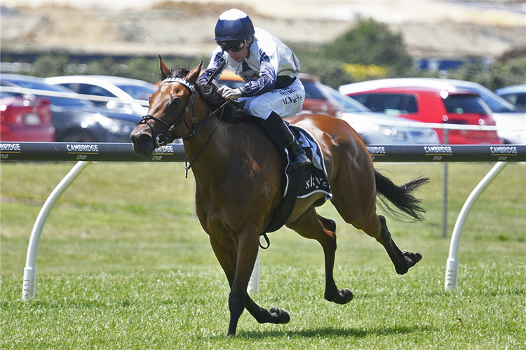 TOO SWEET winning the SKYCITY ECLIPSE STAKES