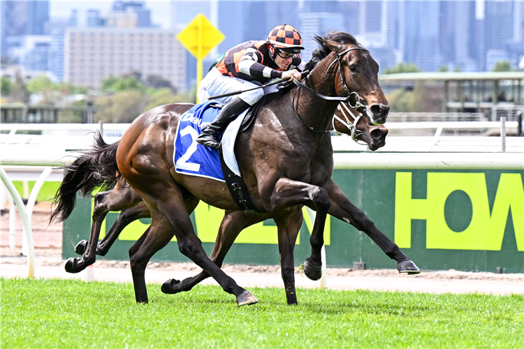 Tornado Valley winning the Darley Maribyrnong Plate at Flemington in Australia.
