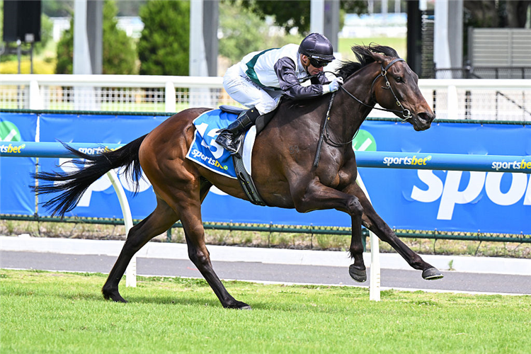 TOUCHDOWN winning the Race Replays Handicap at Caulfield in Australia.