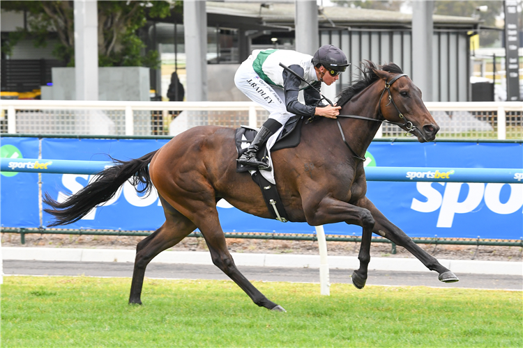 TOUCHDOWN winning the MRC Membership Feel The Thrill Handicap at Caulfield in Australia.