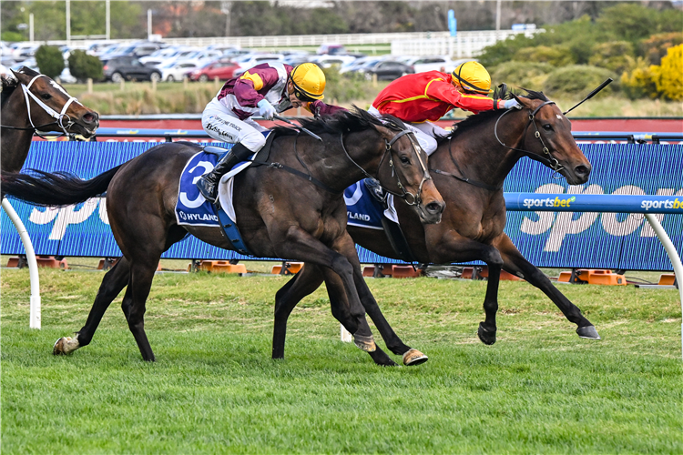 TRANSATLANTIC (red silks) winning the Toorak Handicap at Caulfield in Australia.