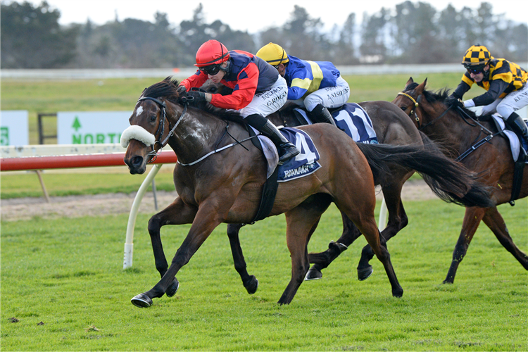 TRANSCEND winning the THE HOMESTEAD SPORTS BAR & BISTRO - Hi-Res