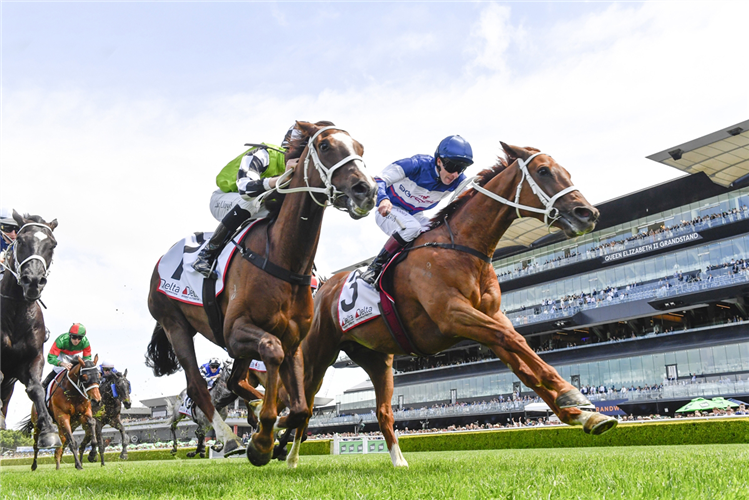 TRAVOLTA winning the DELTA BUILDING AUTOMATION ST LEGER STAKES at Randwick in Australia.