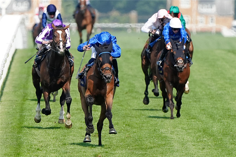 TRAWLERMAN winning the Ascot Gold Cup at Ascot in England.