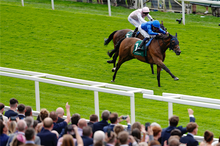 TRAWLERMAN winning the Lonsdale Cup Stakes at York in England.