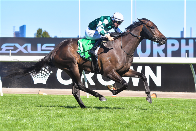 TREASURETHE MOMENT winning the Kewney Stakes at Flemington in Australia.