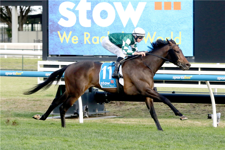 TREASURETHE MOMENT winning the Stow Storage Memsie Stakes - Large
