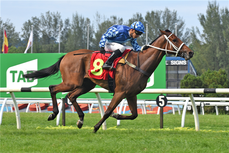 TREES OF VALINOR winning the Race 9