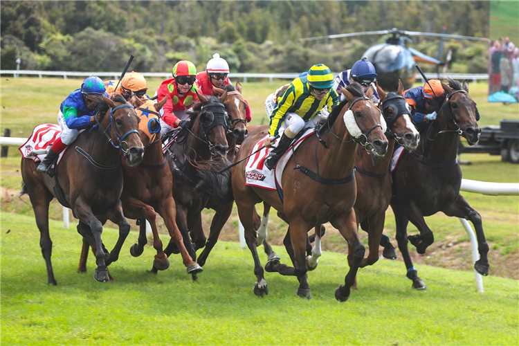 TREYBON winning the VERNON & VAZEY 0800 TRUCK PARTS KUMARA GOLD NUGGETS