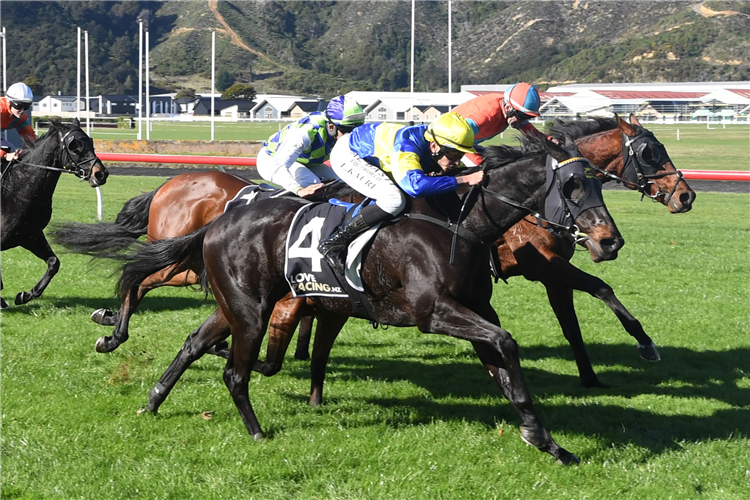 TRISTAR winning the LEICA LUCY 3YO
