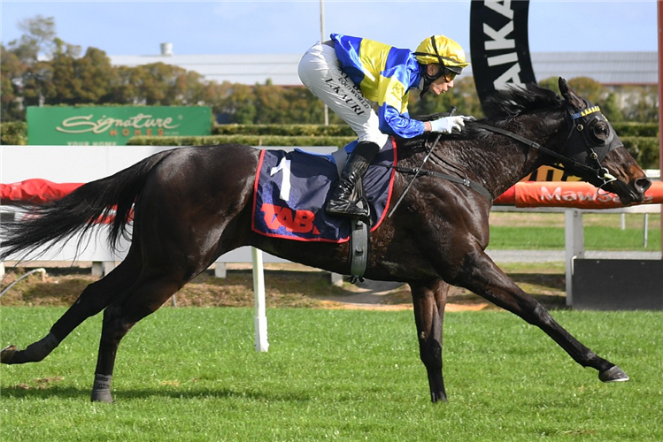 TRISTAR winning the AMBIENT GROUP 3YO