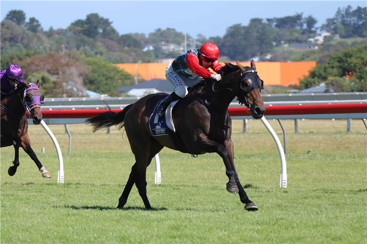 TSHIEBWE winning the STEELFORM ROOFING GROUP WANGANUI CUP