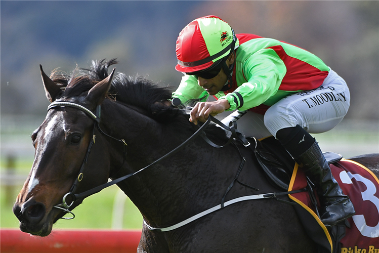 TWAIN winning the WAIHOU TAVERN 1150M