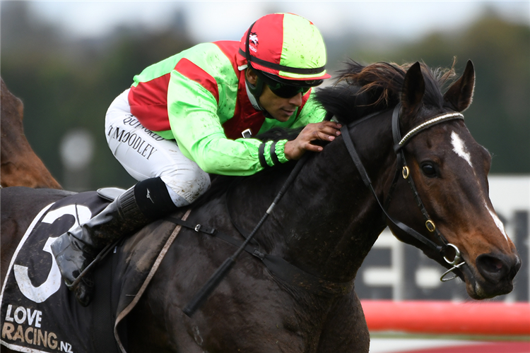 TWAIN winning the BAYLEYS COUNTRY SPRINT