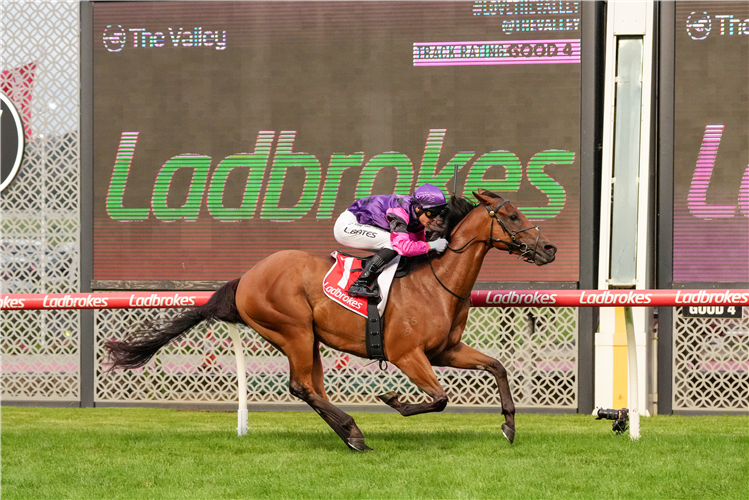 UNFLINCHING winning the 55 Second Challenge Heat 12 at Moonee Valley in Australia.