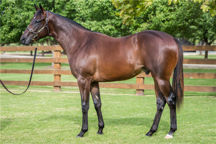 「梵蒂冈」周岁时