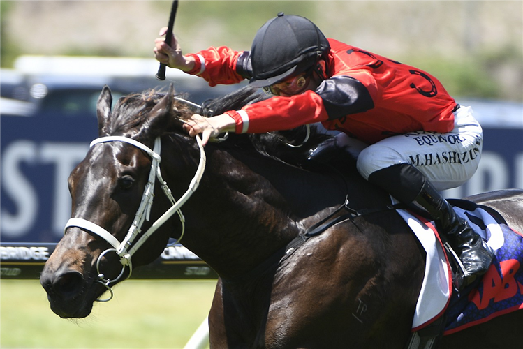 VEGAS QUEEN winning the NHR GROUP