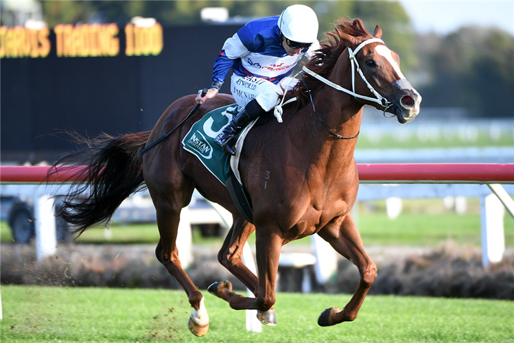 VELOCIOUS winning the JARVIS TRADING
