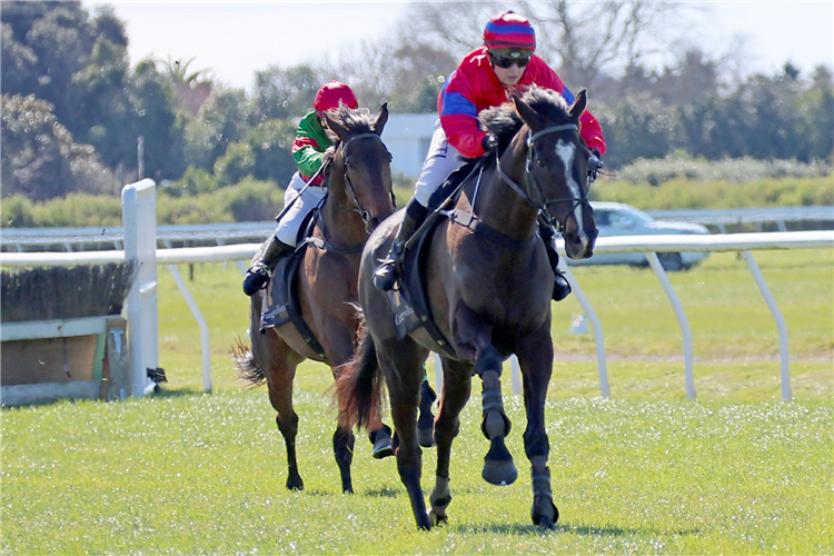 VERRY FLASH winning the HEATHER D YAXLEY MAIDEN STEEPLE