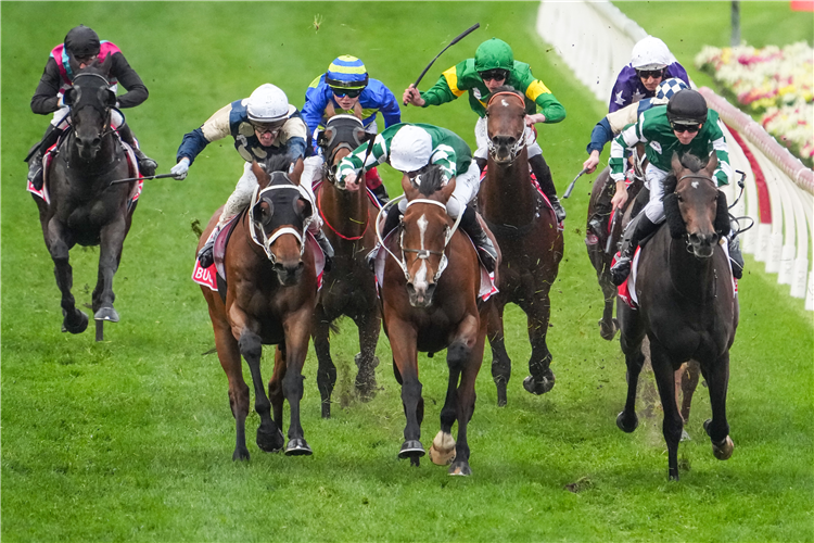 VIA SISTINA winning the Ladbrokes Cox Plate