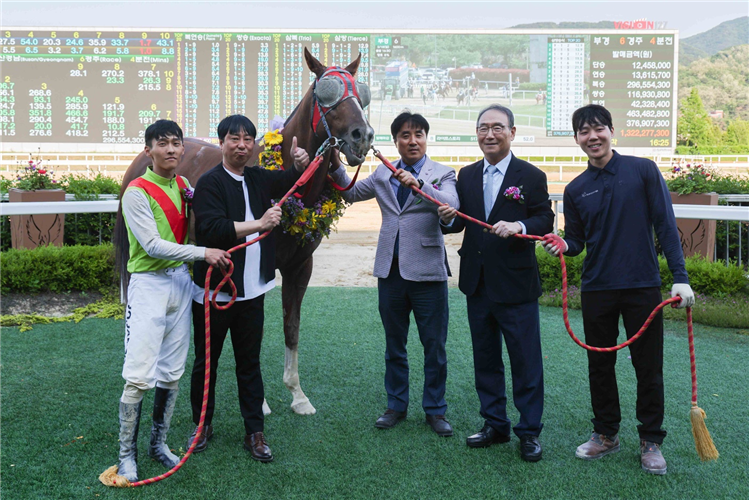VINCERO CAVALLO after winning the Class Open Weight for Age