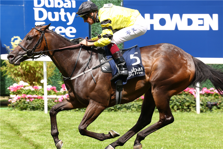 VINTAGE CLARETS winning the Dubai Duty Free Shergar Cup Dash.
