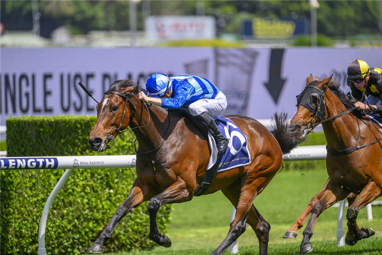 VIVY AIR winning the BIG DANCE WILD CARD at Randwick in Australia.