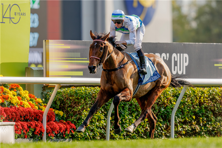 Voyage Bubble is owned by the Sunshine And Moonlight Syndicate.