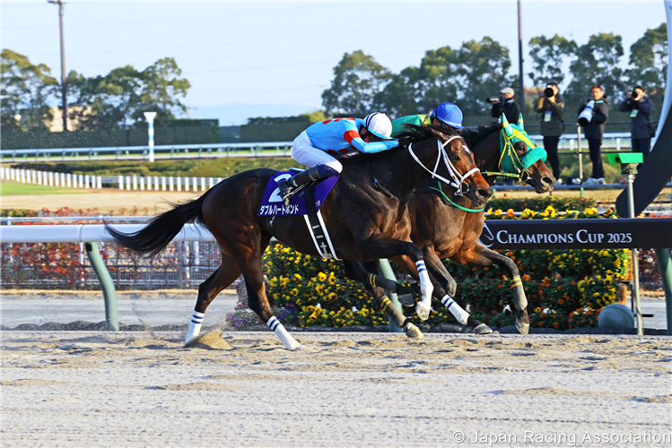 W HEART BOND (white cap) winning the Champions Cup at Chukyo in Japan.