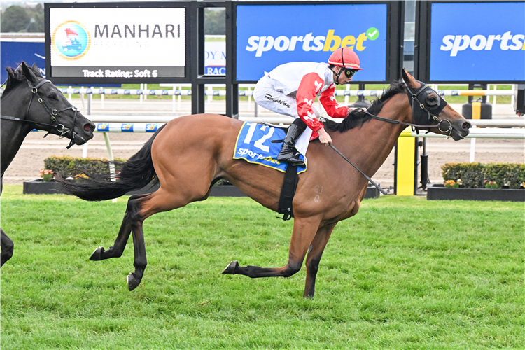 WAIMARIE winning the Manhari Handicap at Ballarat in Australia.