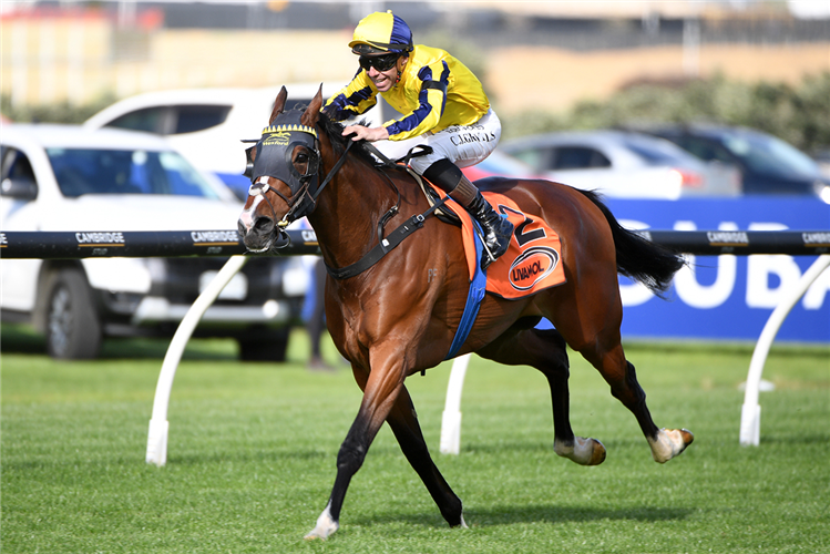 WAITAK winning the LIVAMOL CLASSIC