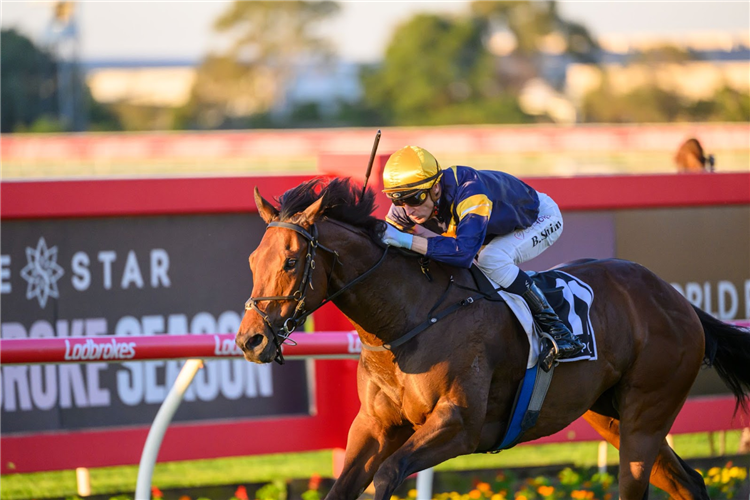 WAR MACHINE winning the HKJC WORLD POOL BRC SPRINT - GROUP 3 at Doomben in Australia.