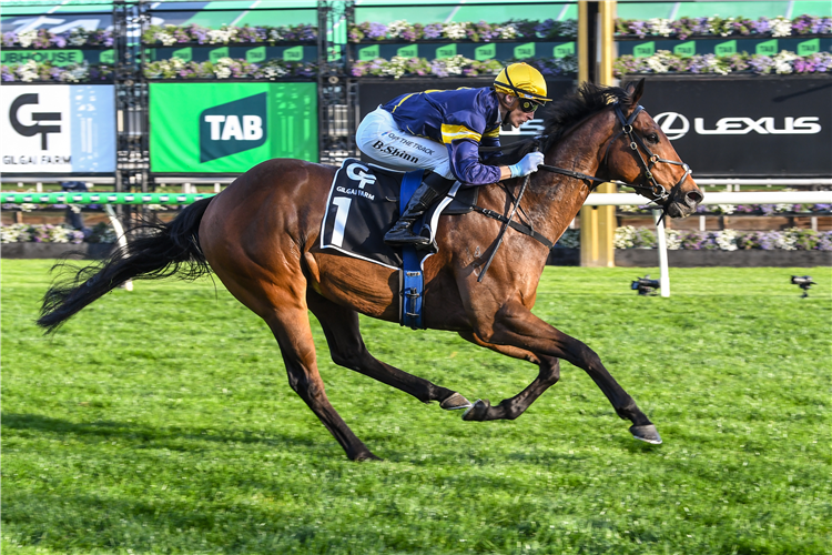 WAR MACHINE winning the Gilgai Stakes at Flemington in Australia.